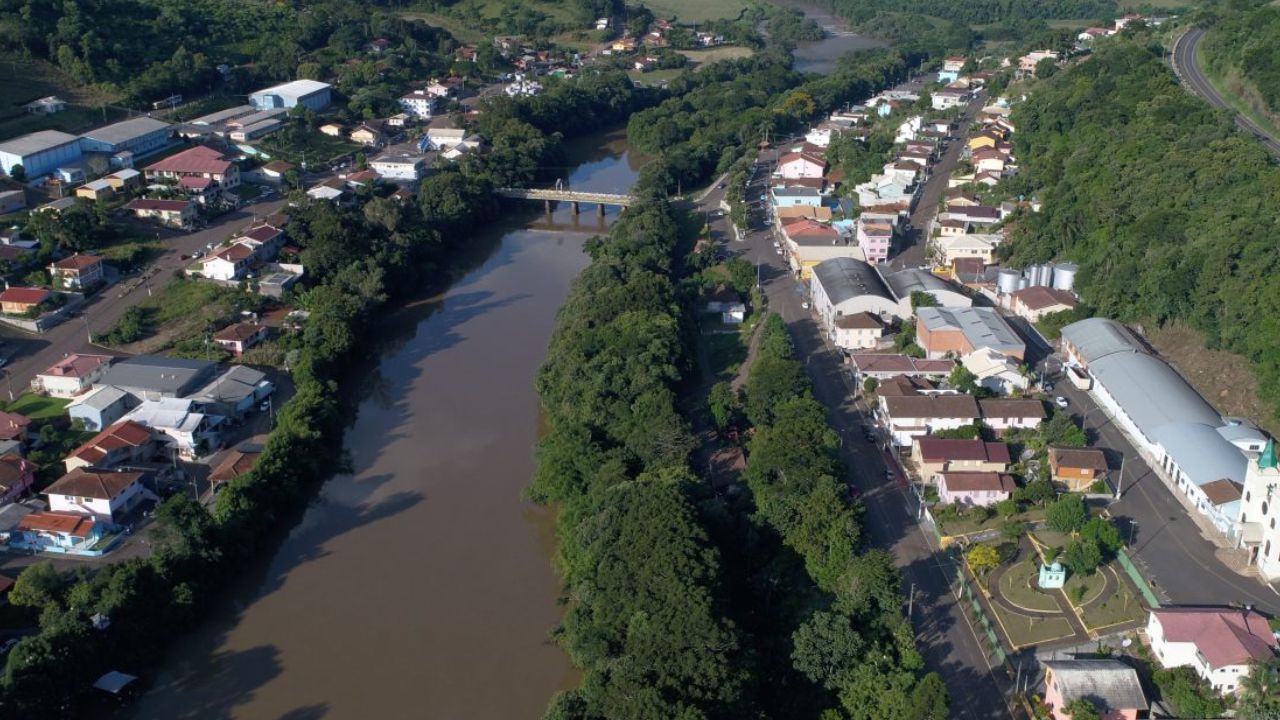 PINHEIRO PRETO